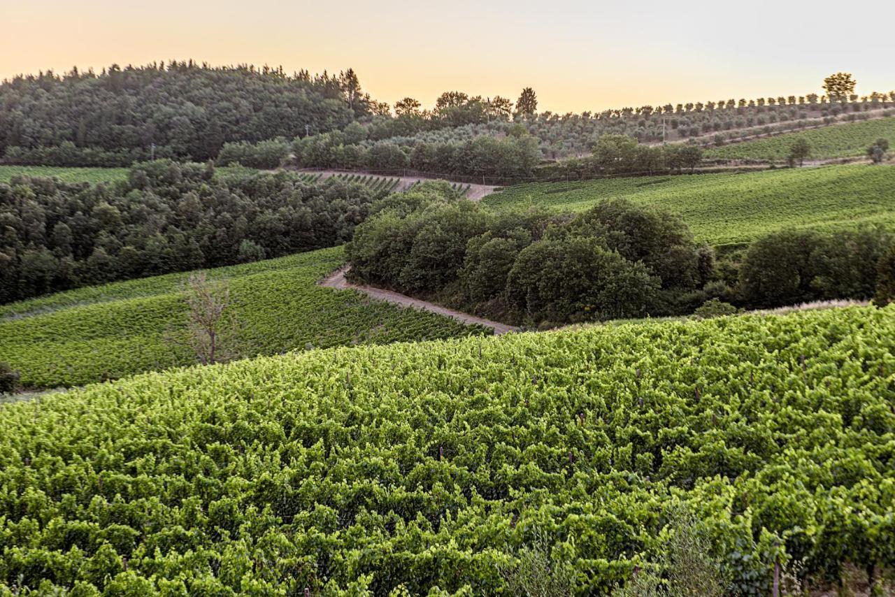 Agriturismo Concadoro Villa Castellina in Chianti Buitenkant foto