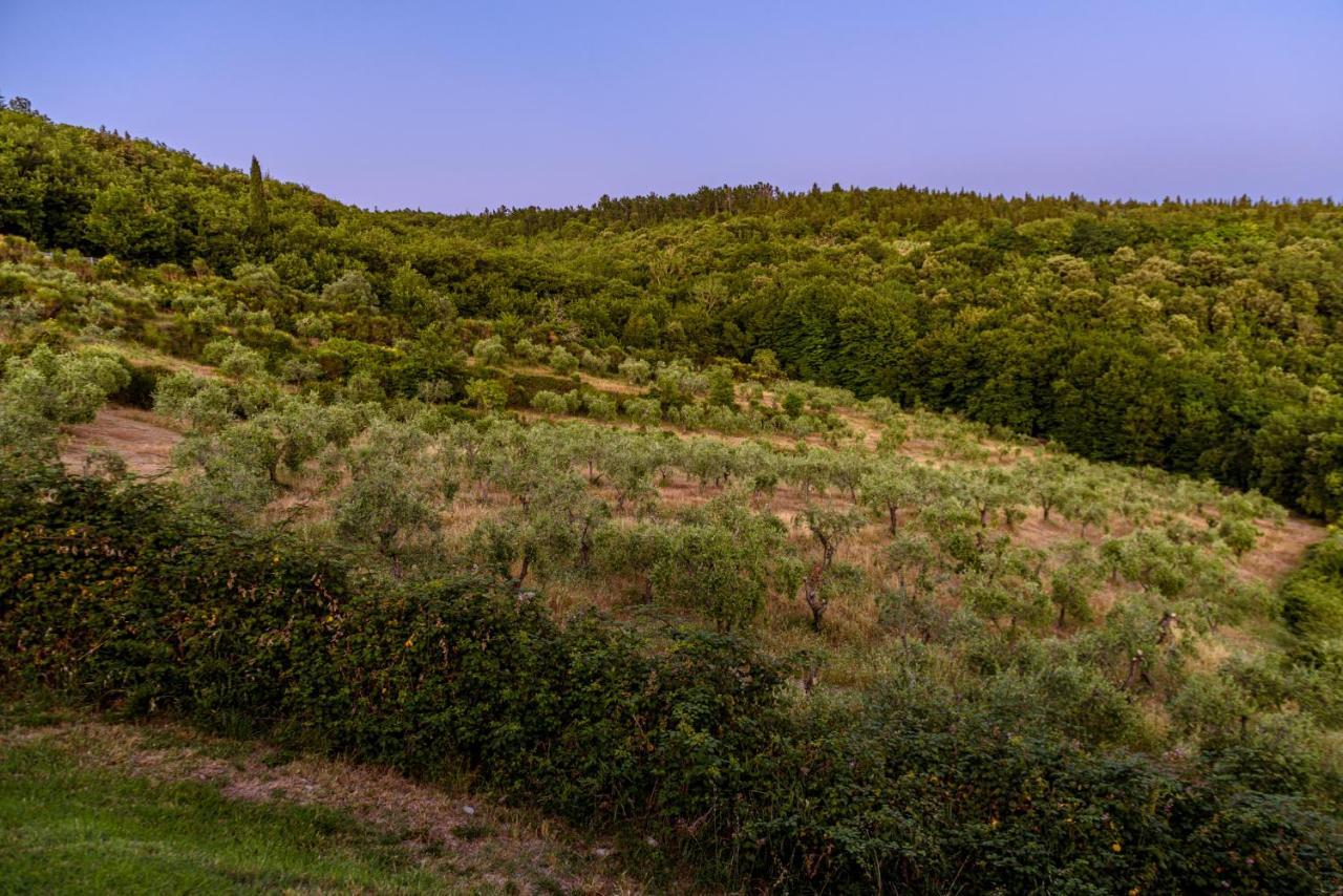 Agriturismo Concadoro Villa Castellina in Chianti Buitenkant foto