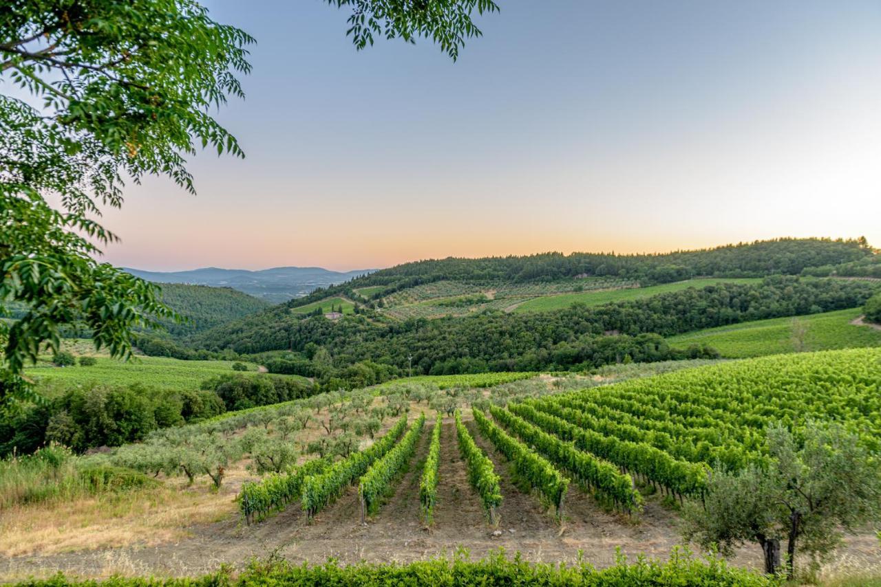 Agriturismo Concadoro Villa Castellina in Chianti Buitenkant foto