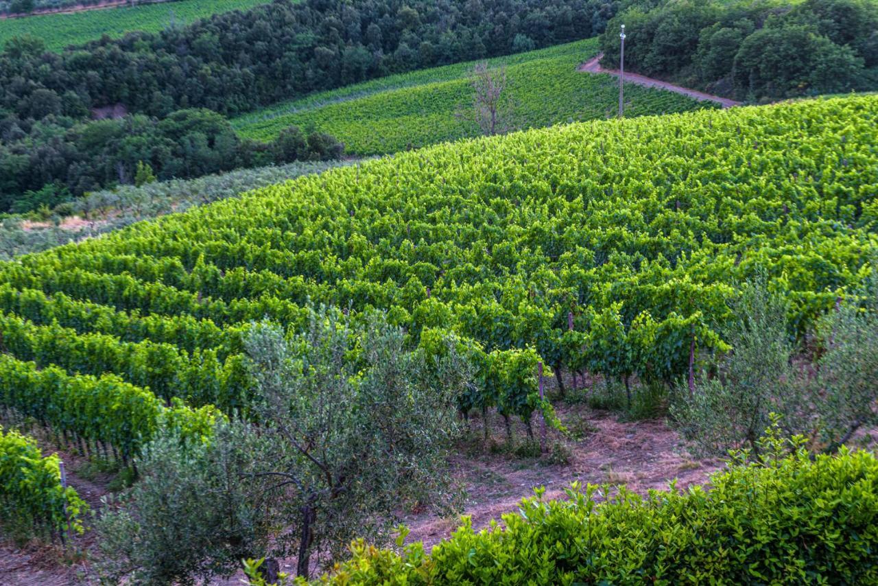 Agriturismo Concadoro Villa Castellina in Chianti Buitenkant foto